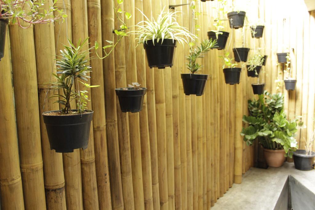 Teduh Hostel Kota Tua จาการ์ตา ภายนอก รูปภาพ